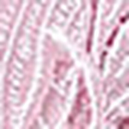 ガーターベルト, , swatch