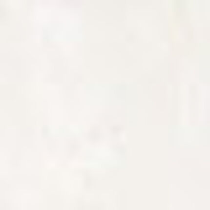 Ｔバックショーツ, , swatch