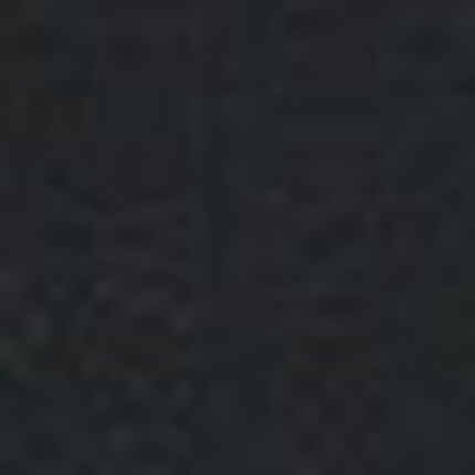 ブラトップ, , swatch