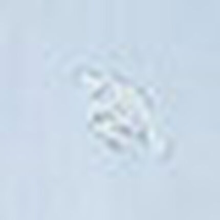 パジャマ, , swatch