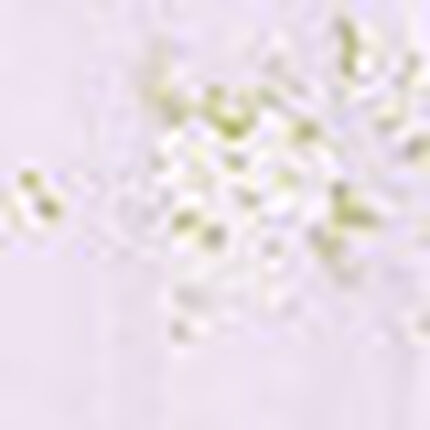 パジャマ, , swatch