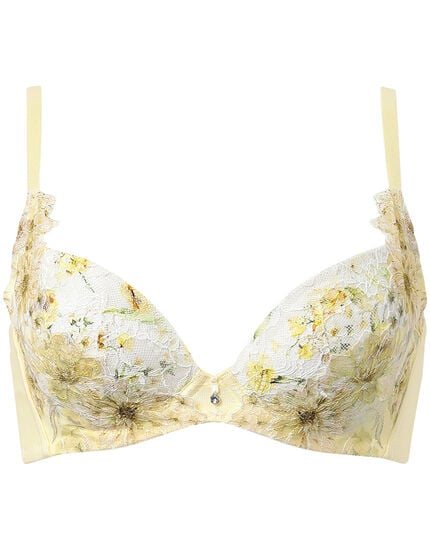 ３／４カップブラ, , main