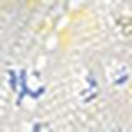 ノンワイヤーブラ, , swatch