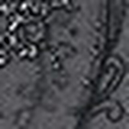 Ｔバックショーツ, , swatch