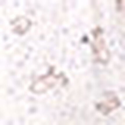 女児ショーツ, , swatch