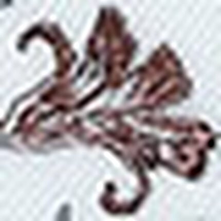 ショーツ, , swatch