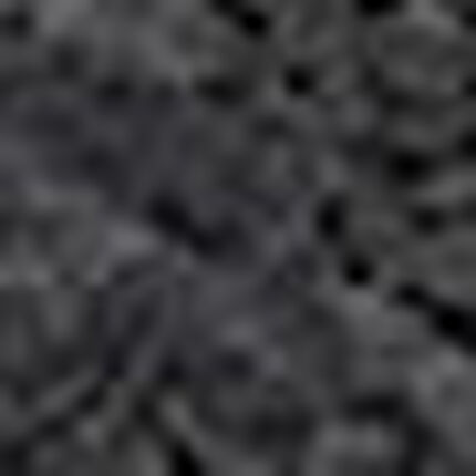 ショーツ, , swatch