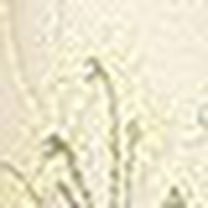 ショーツ, , swatch