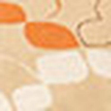 洛中庵　ごろ寝敷きふとん, , swatch