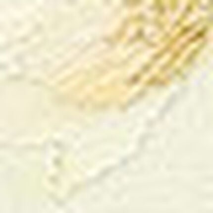 Ｔバックショーツ, , swatch