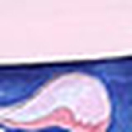 パジャマ, , swatch