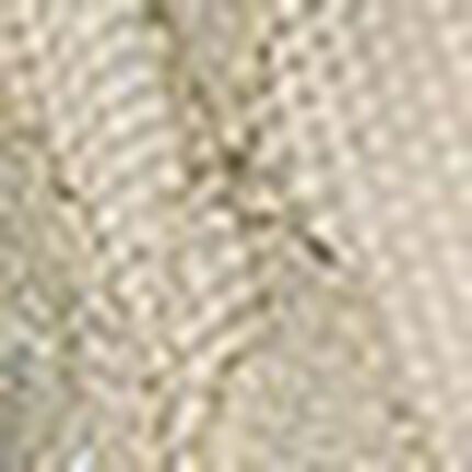 Ｔバックショーツ, , swatch