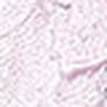 ガーターベルト, , swatch