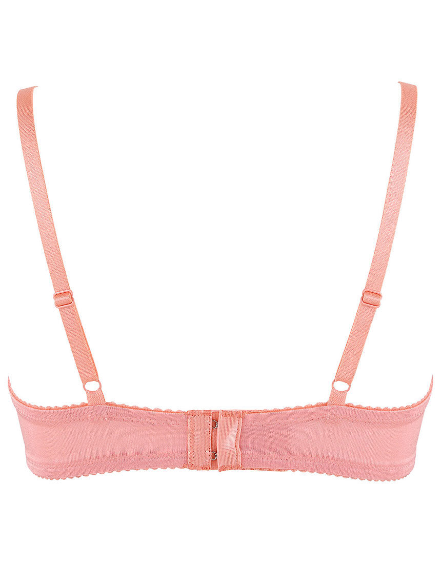 ３／４カップブラ, , hi-res