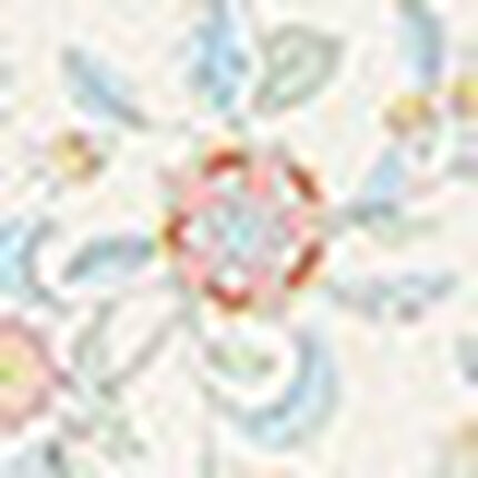 パジャマ, , swatch