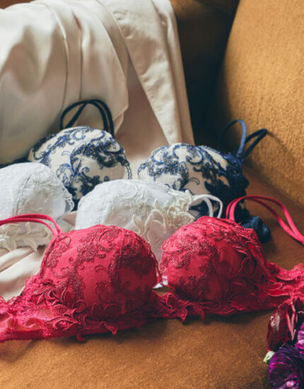 等 ずるい 過剰 ワコール パルファージュ 楽天 狼 初期 歌手