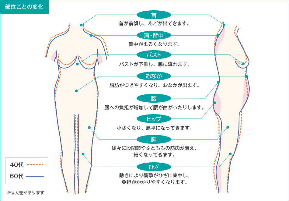 部位ごとの変化