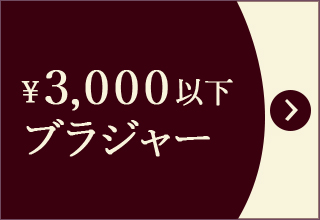 プチプライス特集・￥3,000以下ブラジャー