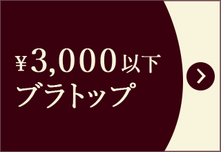 プチプライス特集・￥3,000以下ブラトップ