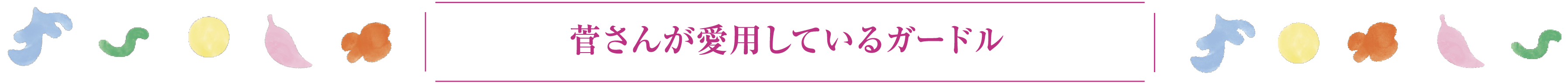 菅さんが愛用しているガードル