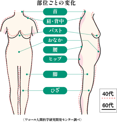 部位ごとの変化