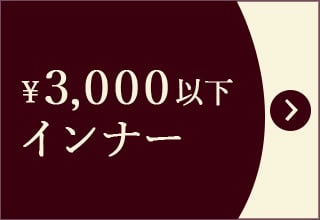 プチプライス特集・￥3,000以下インナー