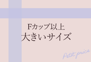 ブラショーセット・Fカップ以上　大きいサイズ