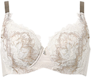 ワコール ハグするブラ コンパクトメイク BXB318 IV