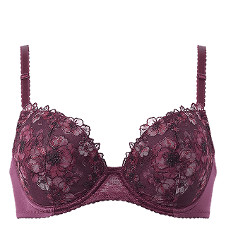 ウイング ナチュラルアップブラ KB2060 WI