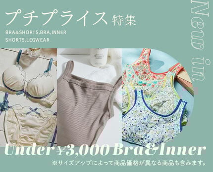 プチプライス