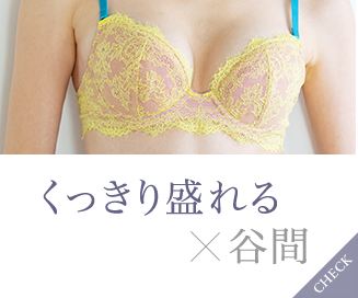 谷間ブラ|ワコール直営の公式下着通販サイト ワコールウェブストア 谷間ブラ|ワコール直営の公式下着通販サイト ワコールウェブストア