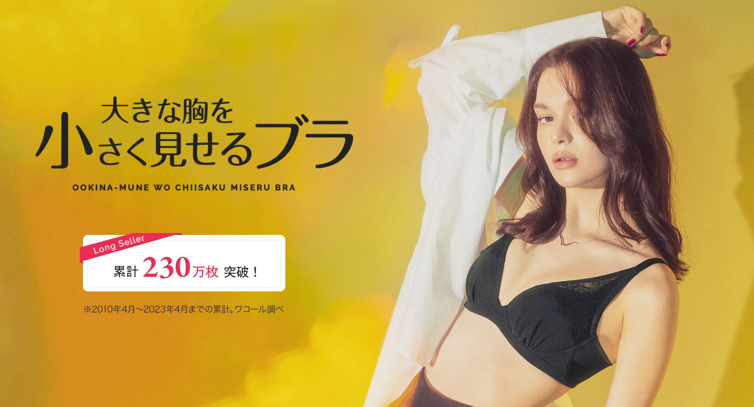 大きな胸を小さく見せるブラ