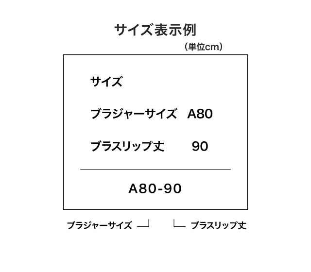 サイズ表｜ワコール直営の公式下着通販サイト ワコールウェブストア
