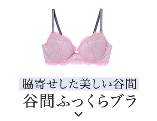 谷間ふっくらブラ