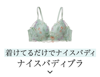 着けてるだけでナイスバディ ナイスバディブラ