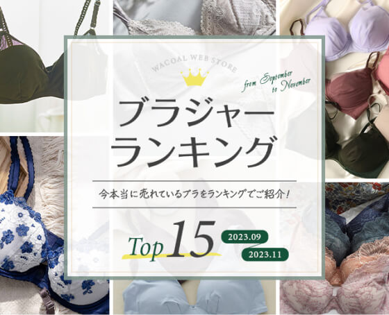 人気ブラジャーランキング