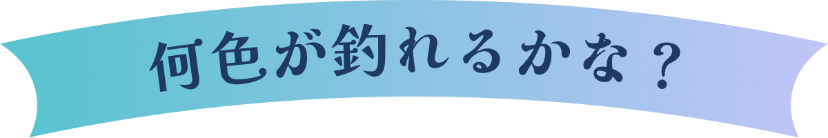 何色が釣れるかな？