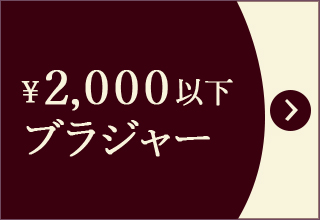 プチプライス特集・￥2,000以下ブラジャー