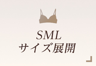 ノンワイヤーブラ特集・SML展開