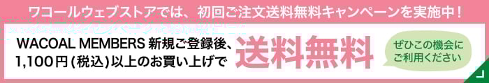 ワコールウェブストアでは、初回ご注文送料無料キャンペーンを実施中！ WACOAL MEMBERS 新規ご登録後、1,100円（税込）以上のお買い上げで送料無料 ぜひこの機会にご利用ください