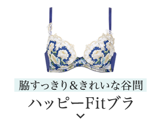 ハッピーFitブラ
