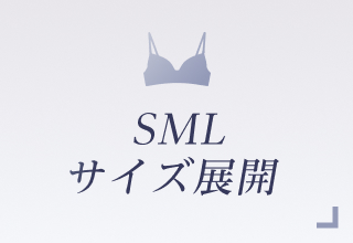 ノンワイヤーブラ特集・SML展開