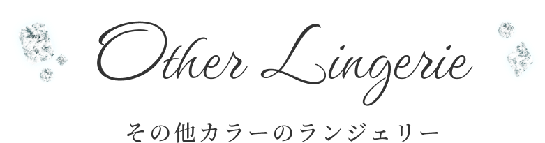 その他のランジェリー