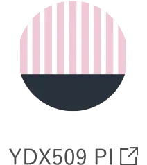 YDX509 PI