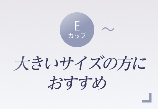 ノンワイヤーブラ特集・大きいサイズ