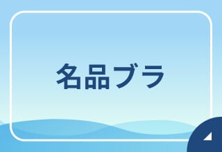 ブラ・ブラトップポイント2倍キャンペーン・名品ブラ