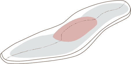 ワコール独自の3Dインソール 構造イメージ