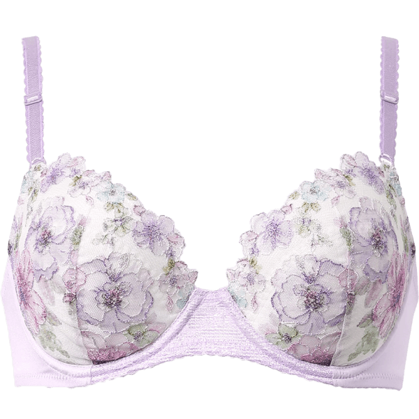 ウイング ナチュラルアップブラ KB2060 CB