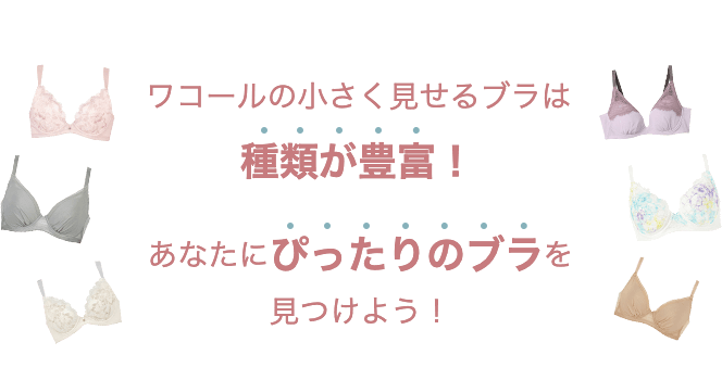 ワコールの小さく見せるブラは種類が豊富！ あなたにぴったりのブラを見つけよう！