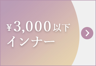 プチプライス特集・￥3,000以下インナー